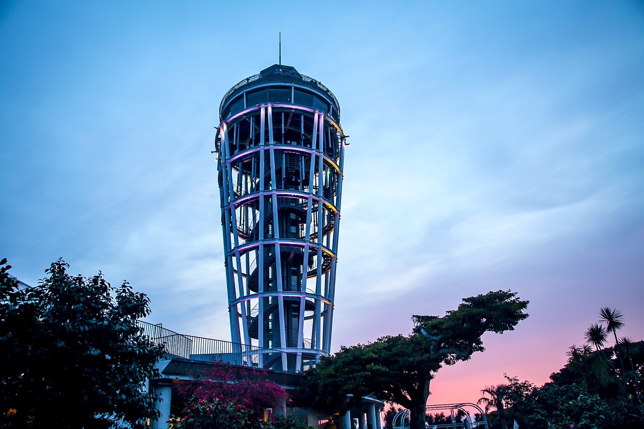 探索时空之都，上海地方志——一座城市的记忆与未来展望